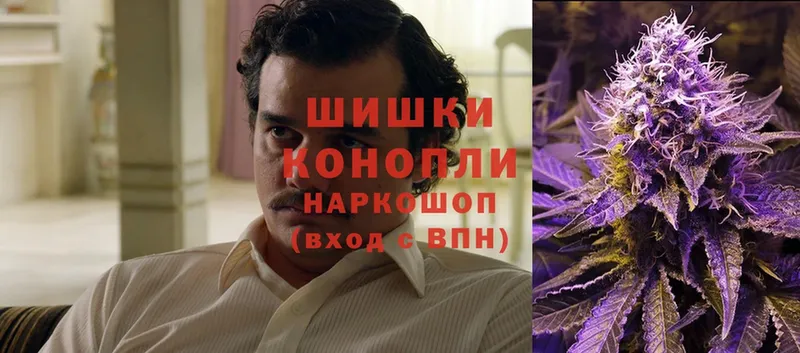 Конопля Ganja  сколько стоит  Туран 